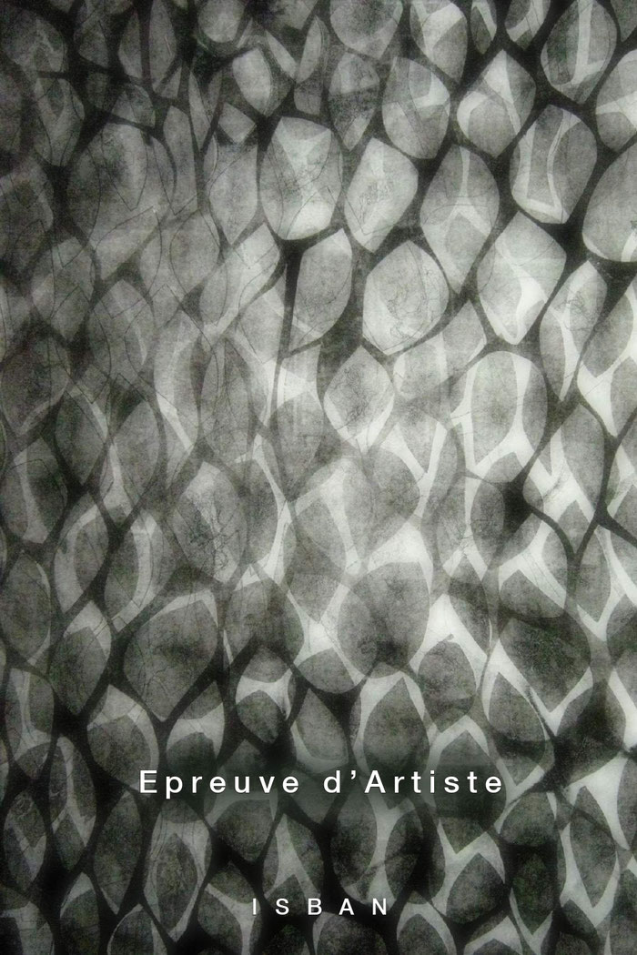 Épreuve d’artiste