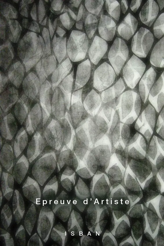 Oussama Troudi — Archives visuelles 8
